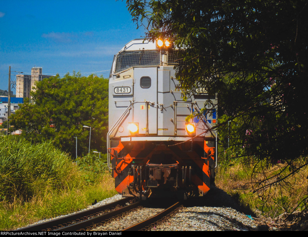 VLI 8431
